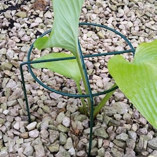 Medium Simple Ring (Pack of 4) - Steel - L40.6 x W40.6 x H50.8 cm - Plastic Coated Green