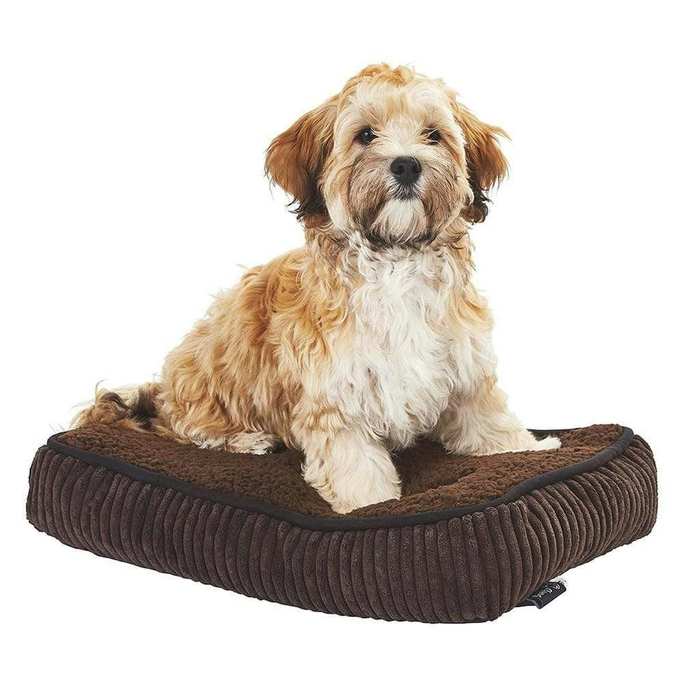 image 1 of Brown Dog Bed - Small To XL Sizes - Fleece - Bunty Snooze Brown | L