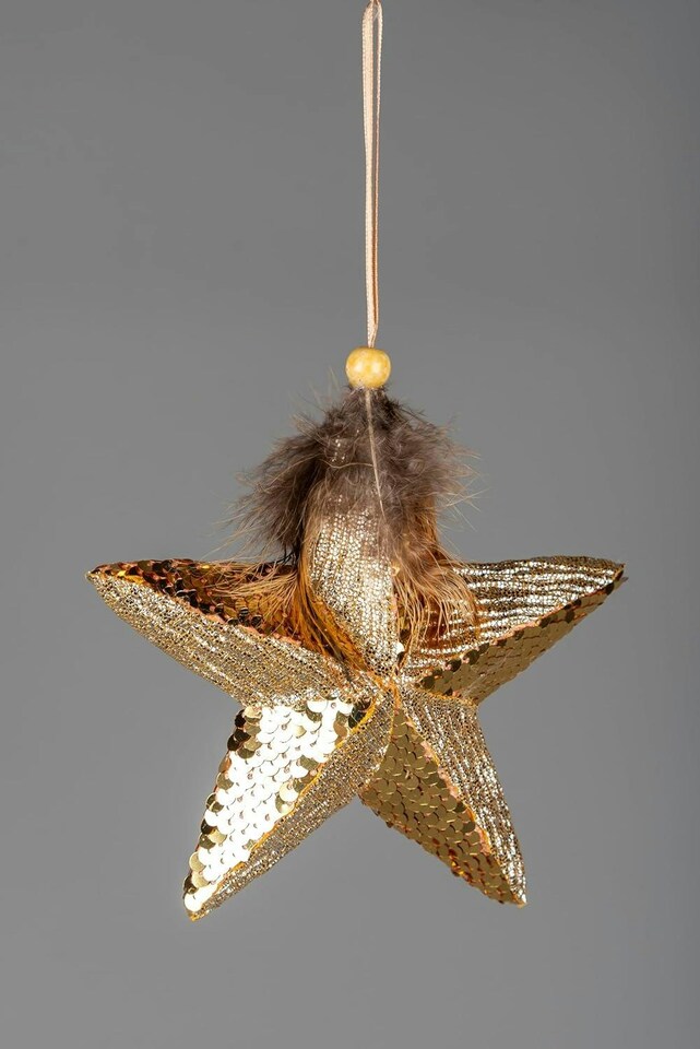 image 1 of 15cm Gold Star - Christmas Hanging Decoration