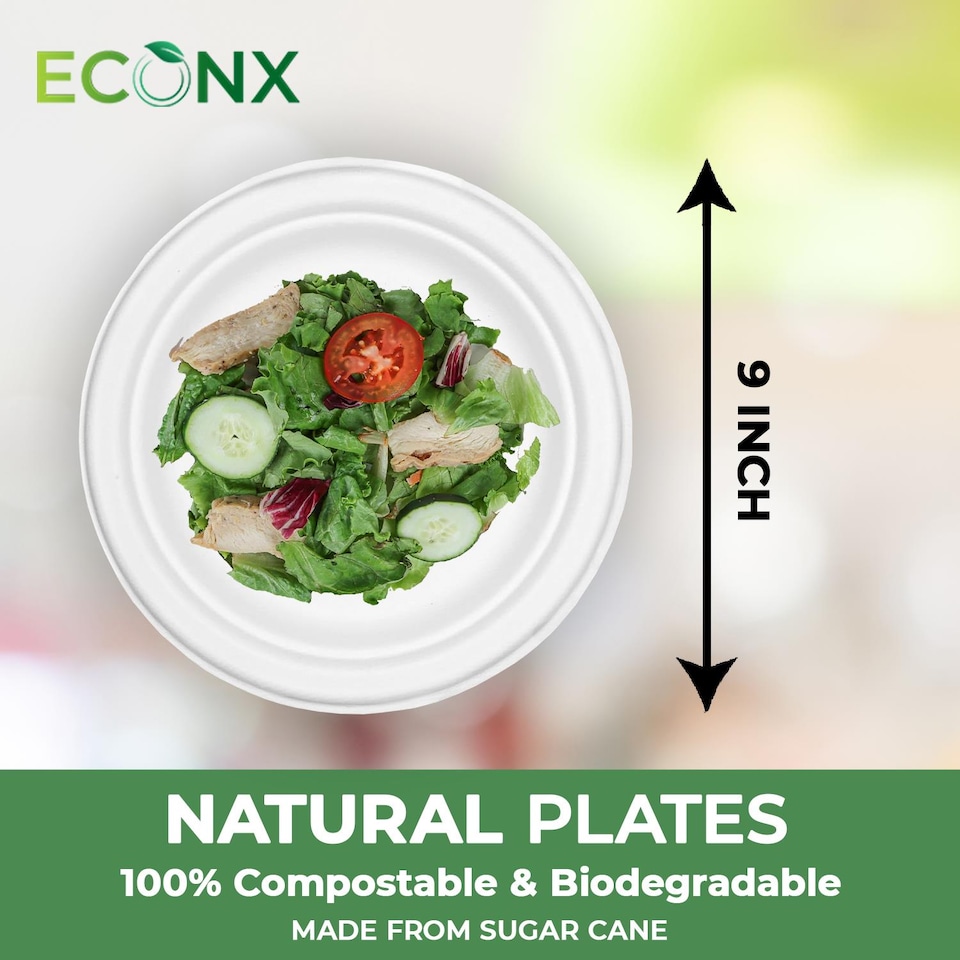 image 1 of ECONX 9 Inch Disposable Sugarcane Bagasse Plates Round Paper Plates Pack of 100