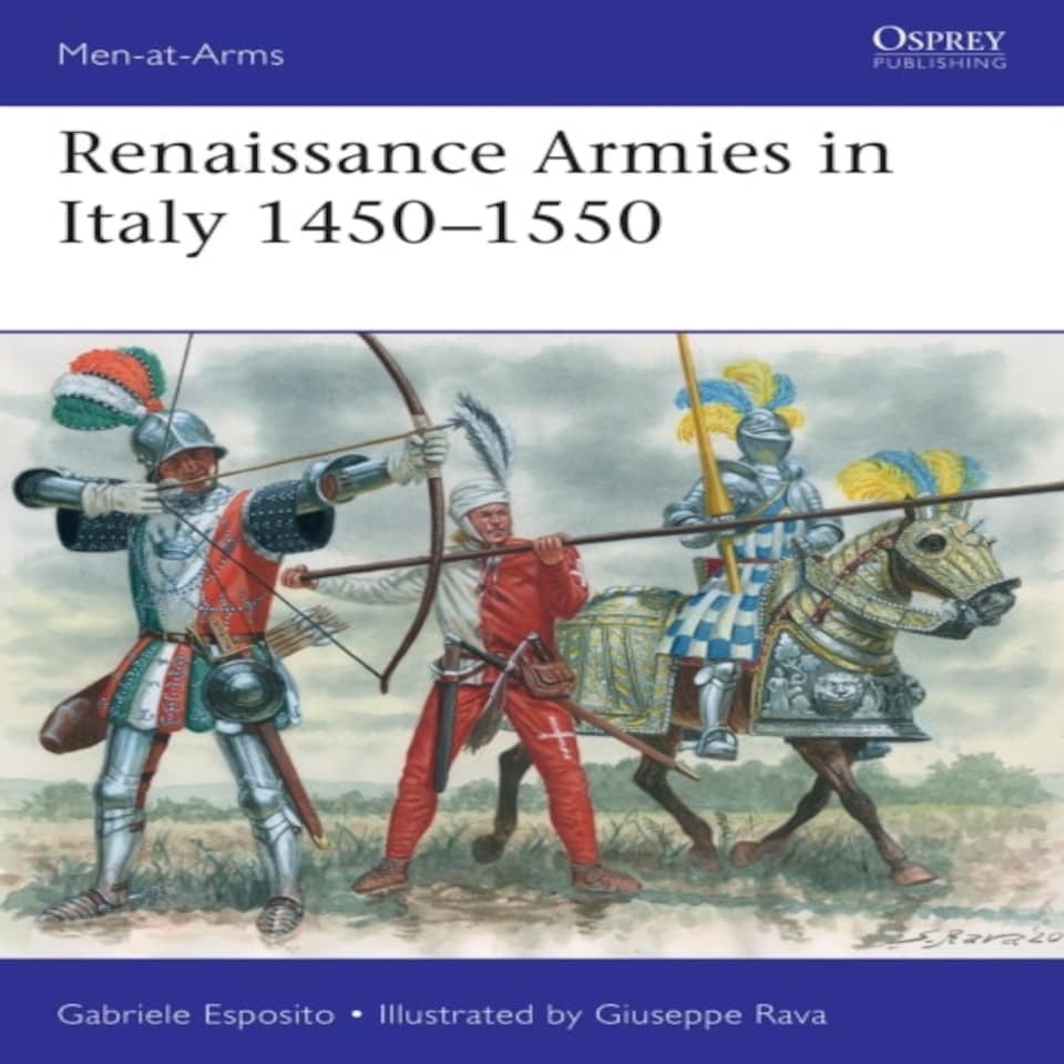 Renaissance Armies In Italy 14501550