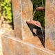 image 5 of Aveiro Cascading Water Feature 89cm