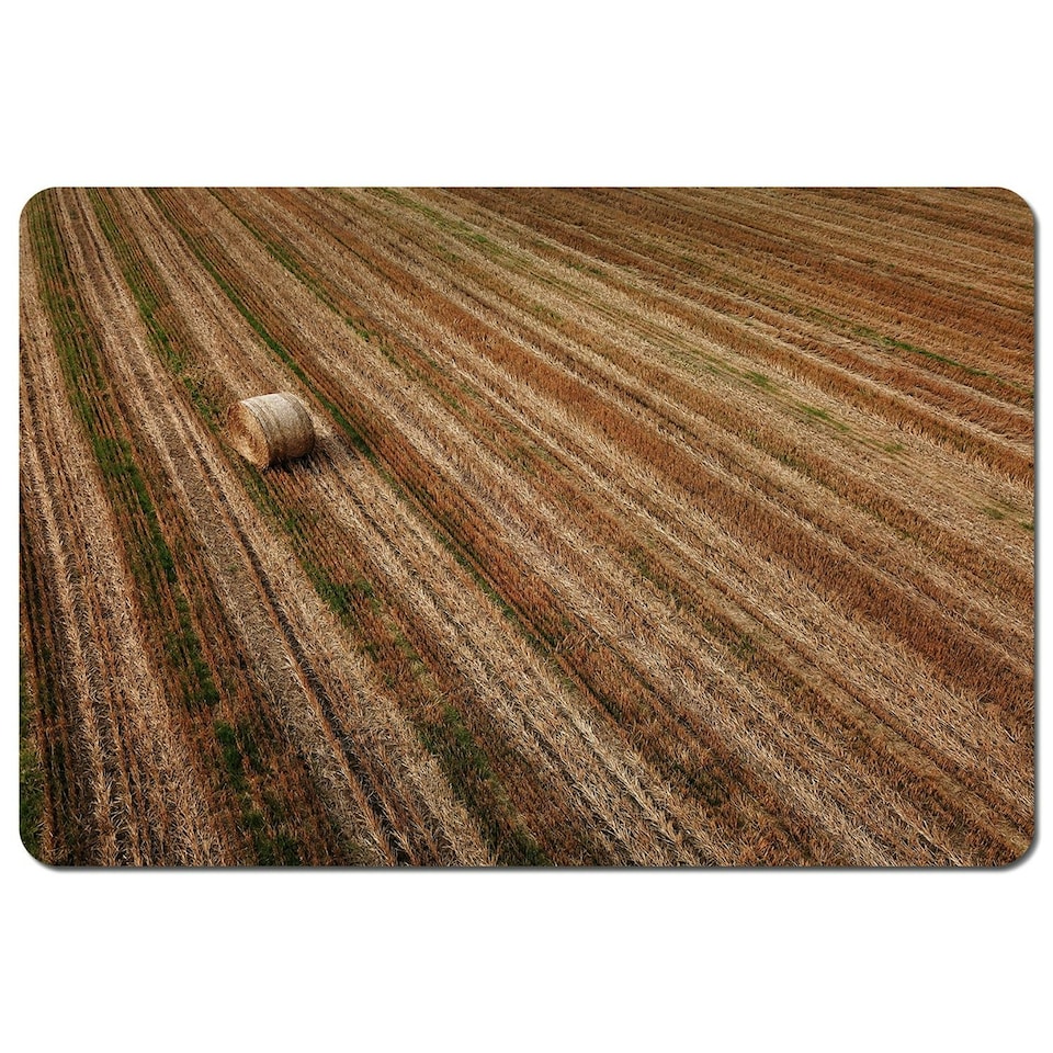 Aerial view of hay bale fields (Placemat)