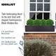 image 4 of Window Box Light Concrete Black Garden Planter L80 W17 H17.5 cm, 24 ltrs Cap.