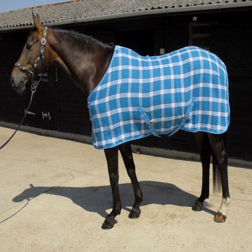 image 1 of Rhinegold Smart Tec Waffle Rug White | Colour: Navy/Red/White Check
Size: 4ft 6