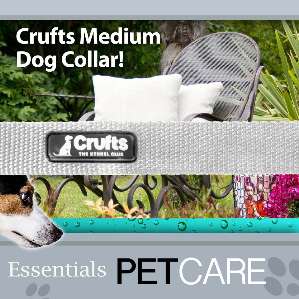 image 1 of PMS Crufts Medium Grey Nylon Dog Collar - Adjustable 35cm