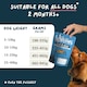 image 6 of Wilsons Fish and Beef Fresh Dog Food Premium Natural Protein Balanced Diet - 16x 380g Pouches