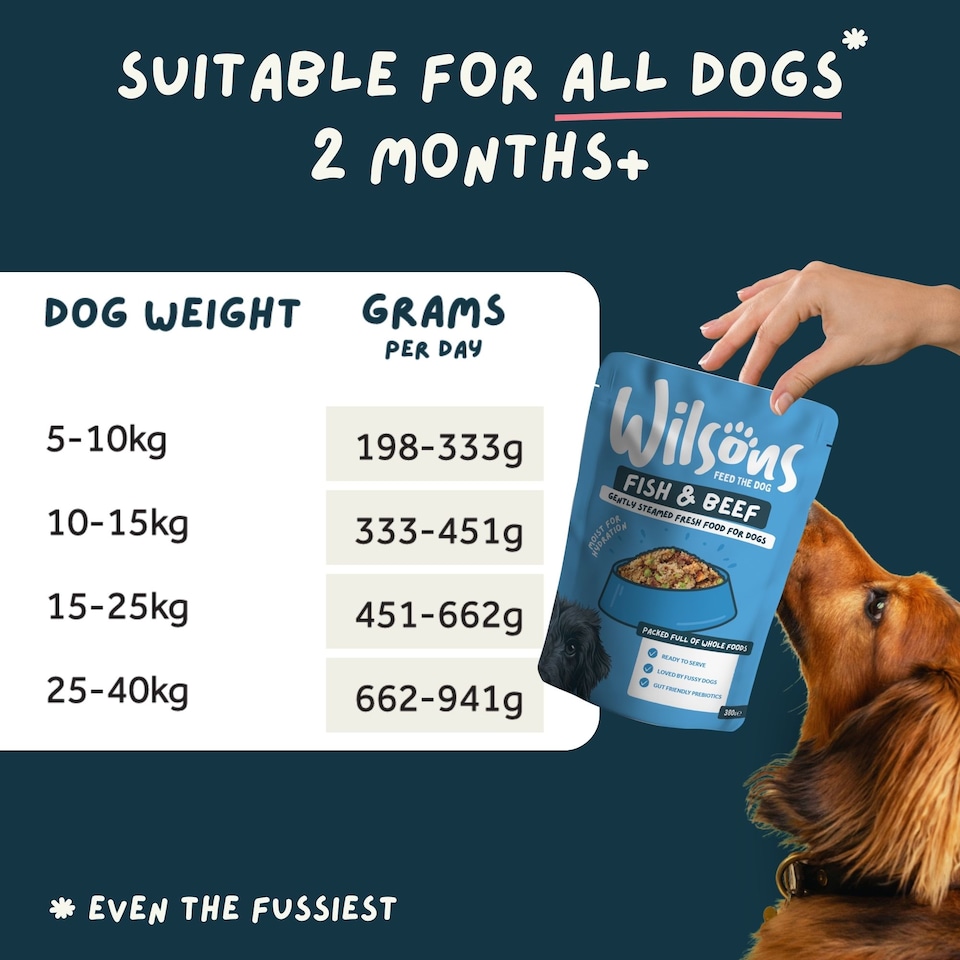 image 1 of Wilsons Fish and Beef Fresh Dog Food Premium Natural Protein Balanced Diet - 16x 380g Pouches