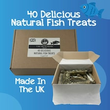 HugglePets Assorted Natural Fish Dog Treat Box (40 pcs)