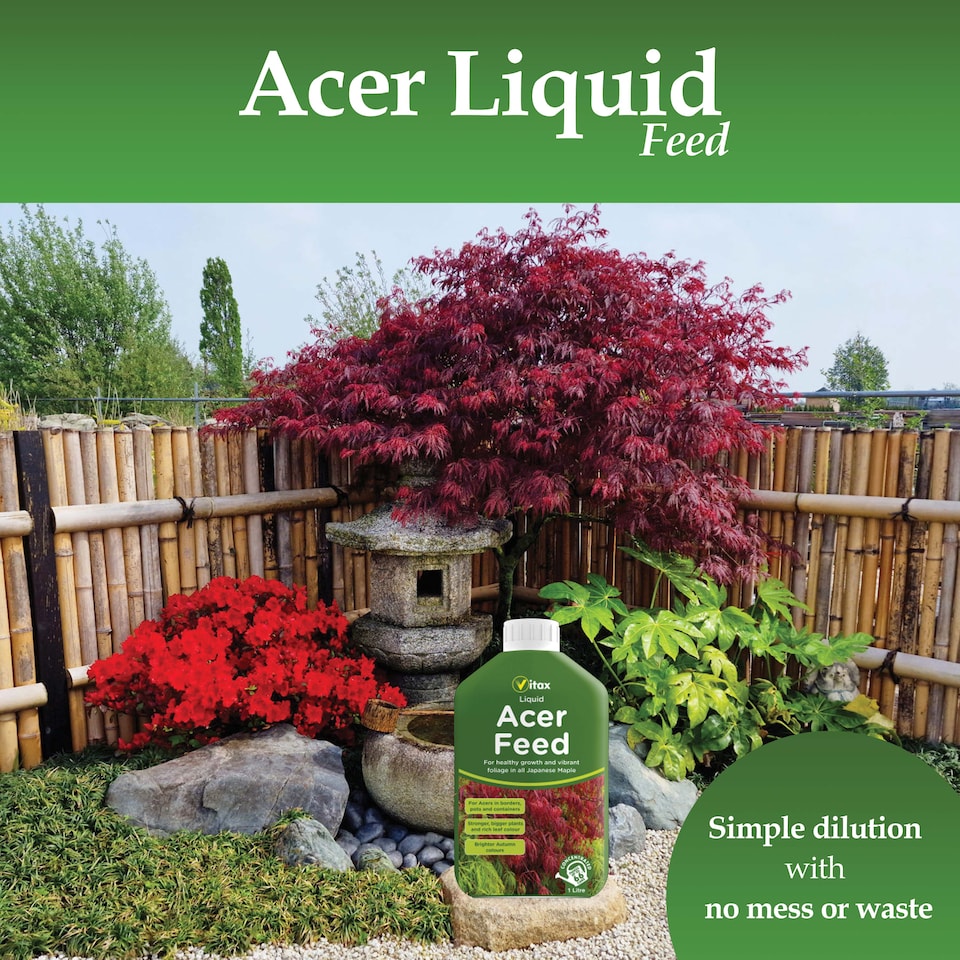 image 1 of Vitax Liquid Acer Feed 1L Concentrated Fertiliser for Japanese Maple Trees Acer Plants Vibrant Foliage and Root Growth
