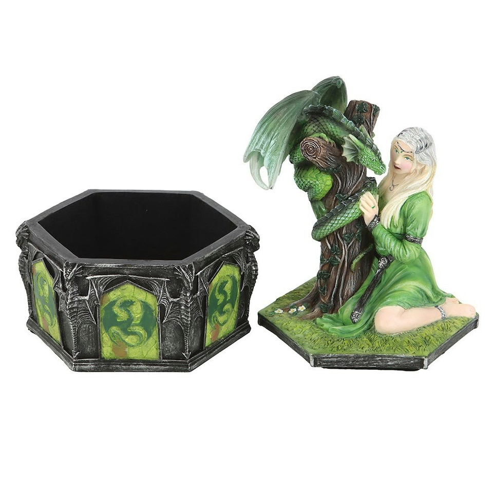 image 1 of Anne Stokes Dragon Friendship Summer Decorative Box - Multicoloured - One Size