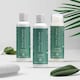 image 4 of Tints of Nature Organic Hydrate Shampoo, Vegan, 250ml