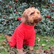 image 3 of Four Legged Dog Fleece - S / Coral Red | S