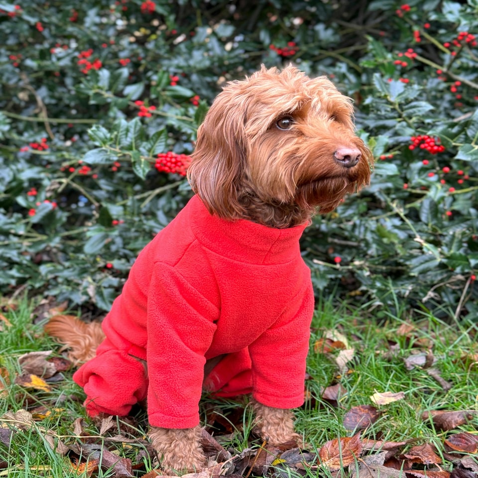 image 1 of Four Legged Dog Fleece - S / Coral Red | S