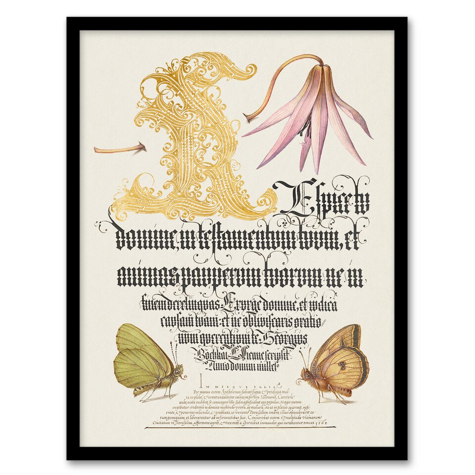 image 1 of Model Book of Calligraphy Framed Wall Art Dog Tooth Violet and Butterflies