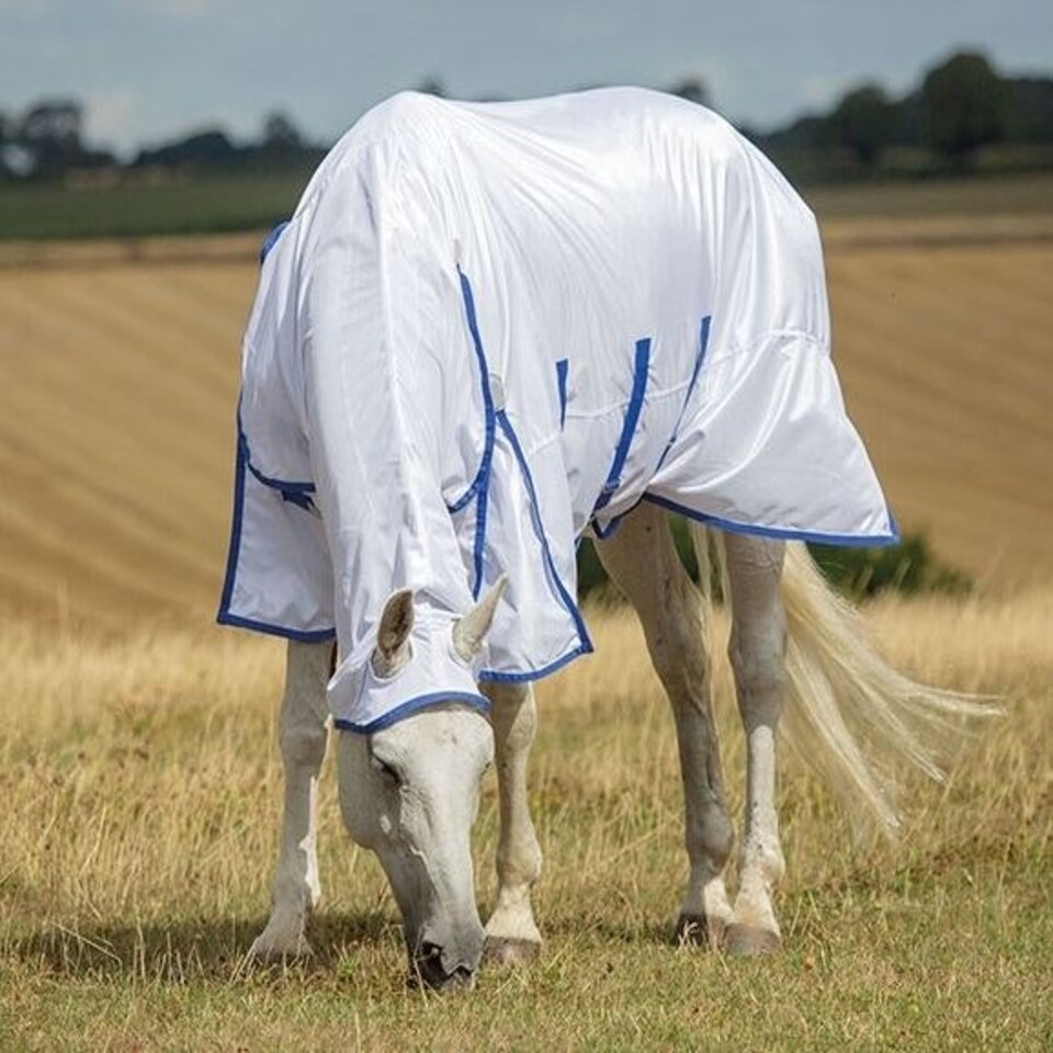 image 1 of Shires Highlander Plus Fly Sheet Combo White | Size: 66 Inch
Colour: White