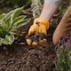 image 3 of Westland Weed Stop Decorative Ground Cover - 6 Months Protection - 50 litres