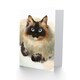 image 2 of Ragdoll Cat Lover Watercolour Pet Portrait Painting Greeting Card
