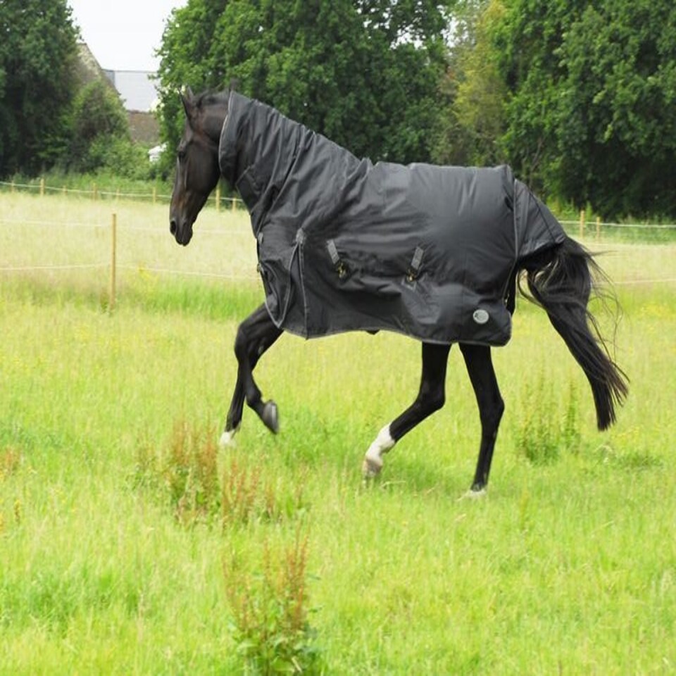 image 1 of Rhinegold Full Neck Konig Black | Size: 4ft 9
Colour: Black