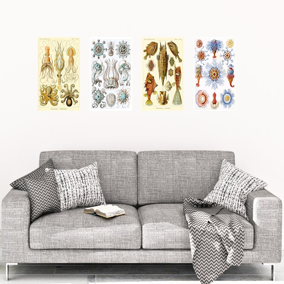 image 1 of Set of 4 Ernst Haeckel Nature Vintage Octopus Biology Sea Art Print Poster Home Decor 12x16 Inch