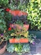 image 4 of Primrose Terracotta Fibrecotta Tall Trough Planters Set of 2 76cm Planters