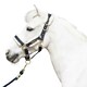 image 2 of Coldstream Langlee Luxury Horse Headcollar and Leadrope - Navy - Cob