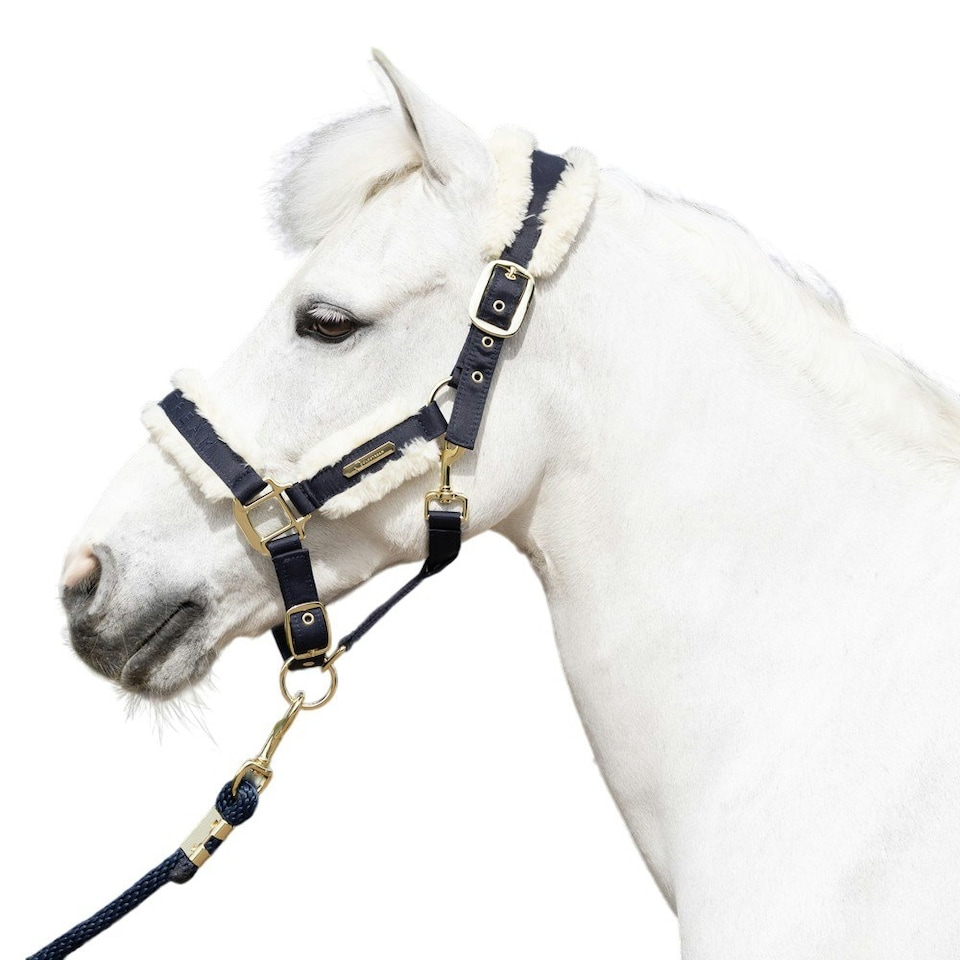 image 1 of Coldstream Langlee Luxury Horse Headcollar and Leadrope - Navy - Cob