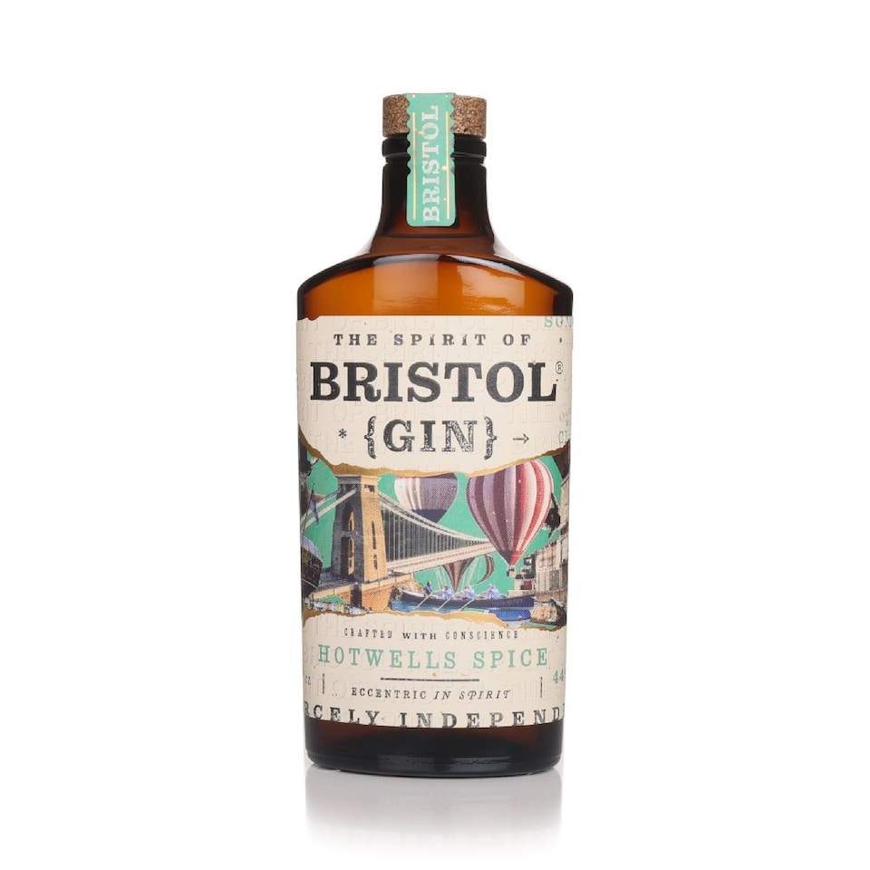image 1 of The Spirit of Bristol Hotwells Spice Gin