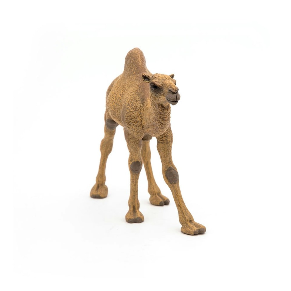 image 1 of PAPO Wild Animal Kingdom Dromedary Toy Figure