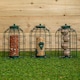 image 1 of Samuel Alexander Pack of 3 Hanging Nut Seed & Fat Ball Bird Feeders with Squirrel Guard