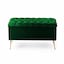 Forest Green Plush Velvet
