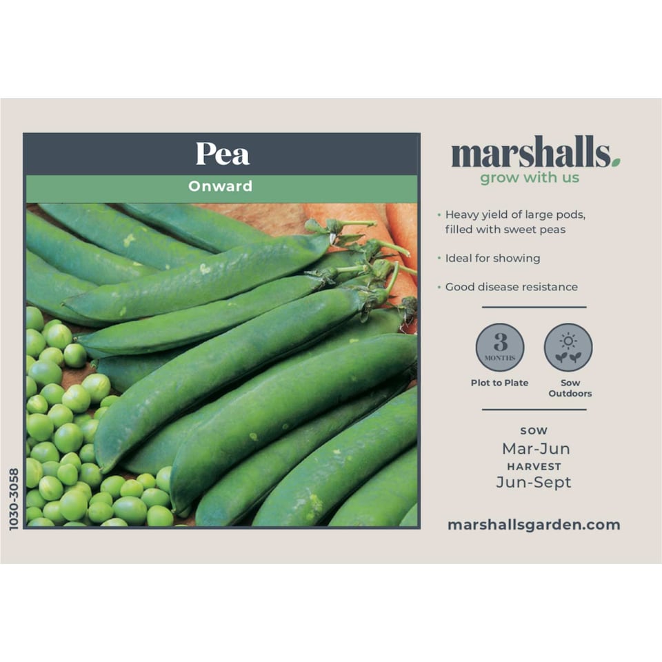 image 1 of Marshalls Garden Pea Seeds Onward | Green | Green | Seeds