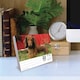 image 3 of Just Dachshunds Desk Calendar 2026, Desk Calendars, Day To View, Dogs, Gift