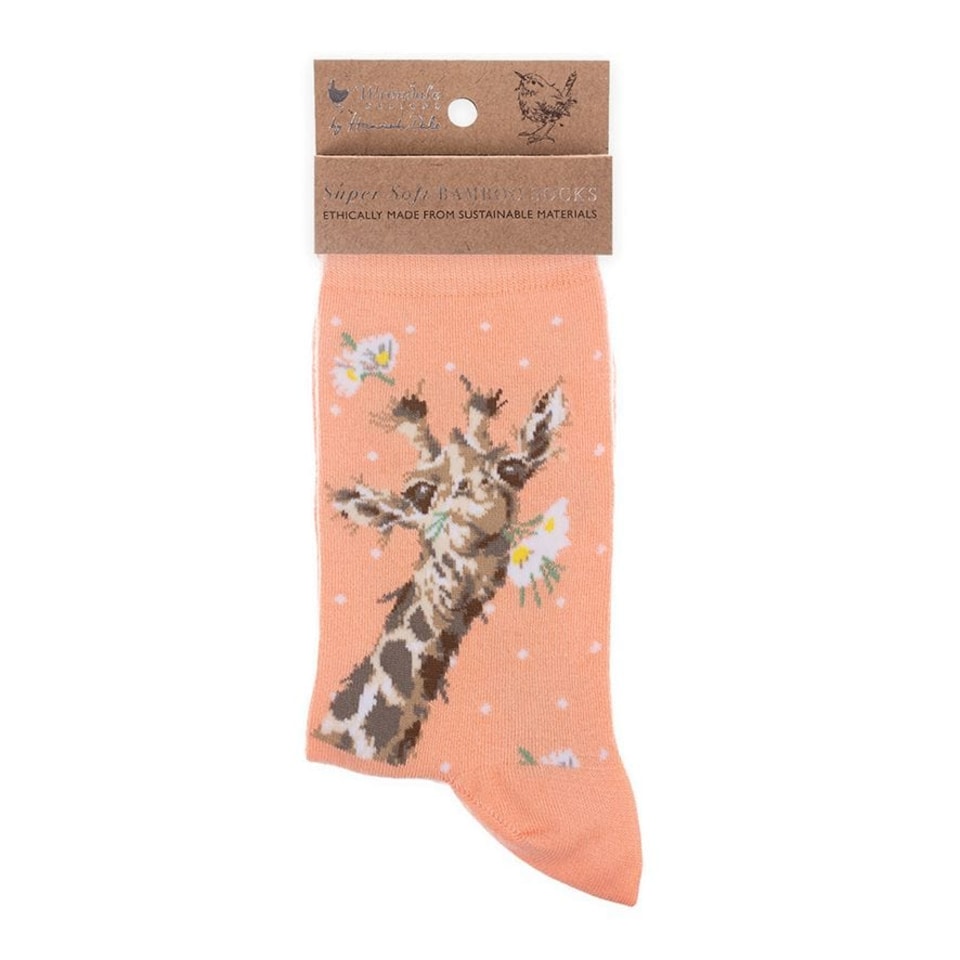 image 1 of Wrendale Designs Illustrated Animal Bamboo Socks for Women - Choice of Design