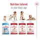 image 3 of Royal Canin Medium Dry Adult Dog Food 3kg