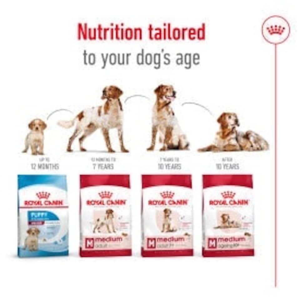 image 1 of Royal Canin Medium Dry Adult Dog Food 3kg