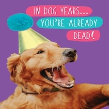 In Dog Years... You're Already Dead!- Funny Dog Birthday Card