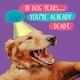 image 1 of In Dog Years... You're Already Dead!- Funny Dog Birthday Card