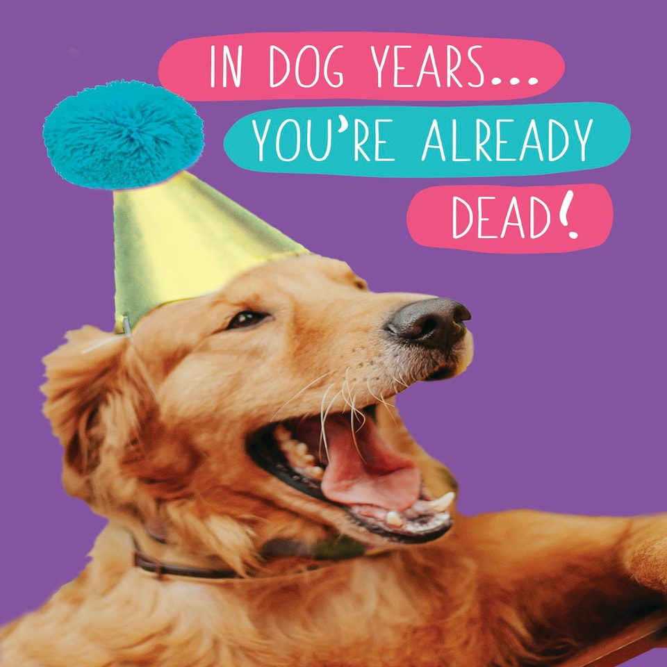 image 1 of In Dog Years... You're Already Dead!- Funny Dog Birthday Card