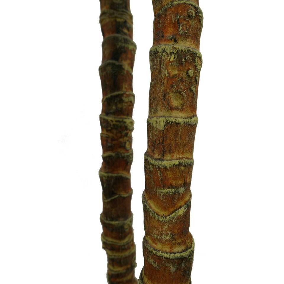 image 1 of 170cm Artificial XL Triple Yukka Tree Tropical Plant | Green | 5ft