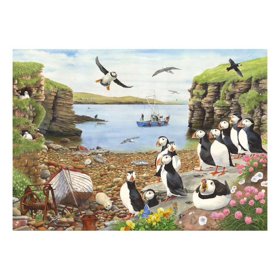 Puffin Parade BIG 500 Piece Jigsaw Puzzle