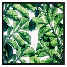Tropical palm (Picutre Frame) Black | S