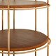 image 3 of Interiors by Premier Stylish Large Cage Design Bookshelf, Durable Bird Cage Design Book Storage Shelf, Spacious Tall Book Shelf Gold