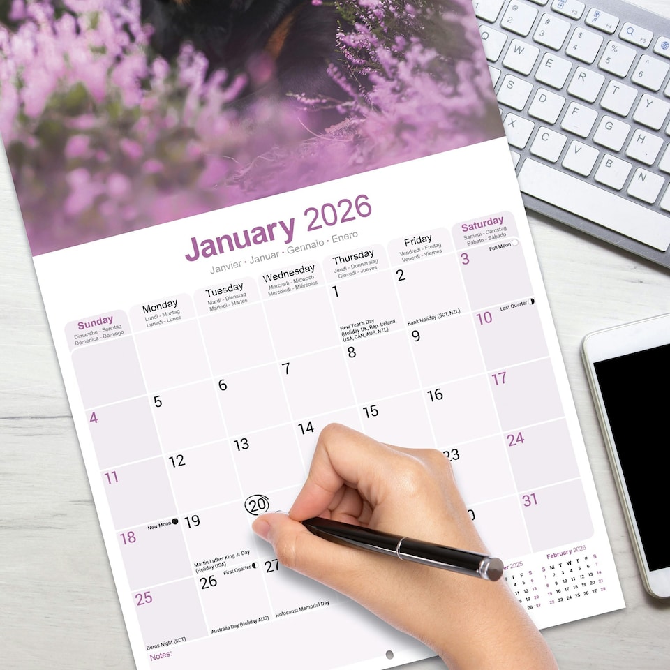 image 1 of Rottweiler 2026 Calendar | Square Wall Calendar | Dog Breed Gift | Plastic Free Packaging | by Avonside Publishing