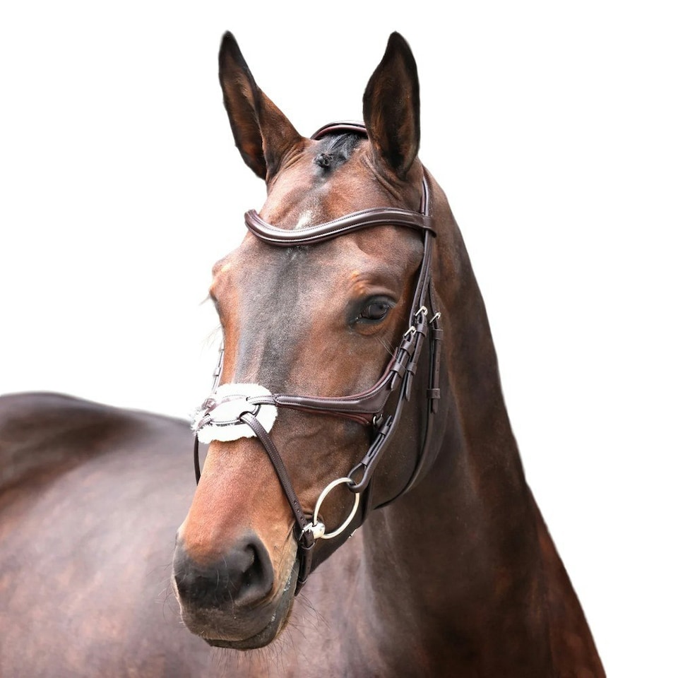 Velociti Lusso Leather Horse Grackle Bridle - Havana - Full