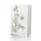 image 2 of Maurice Pillard Verneuil Art Card Thistle Flower Plant