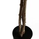 image 3 of 60cm Artificial Forsythia Tree