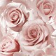 image 1 of Muriva Madison Rose Glitter Wallpaper - Raspberry/Blush Pink - One Size Red