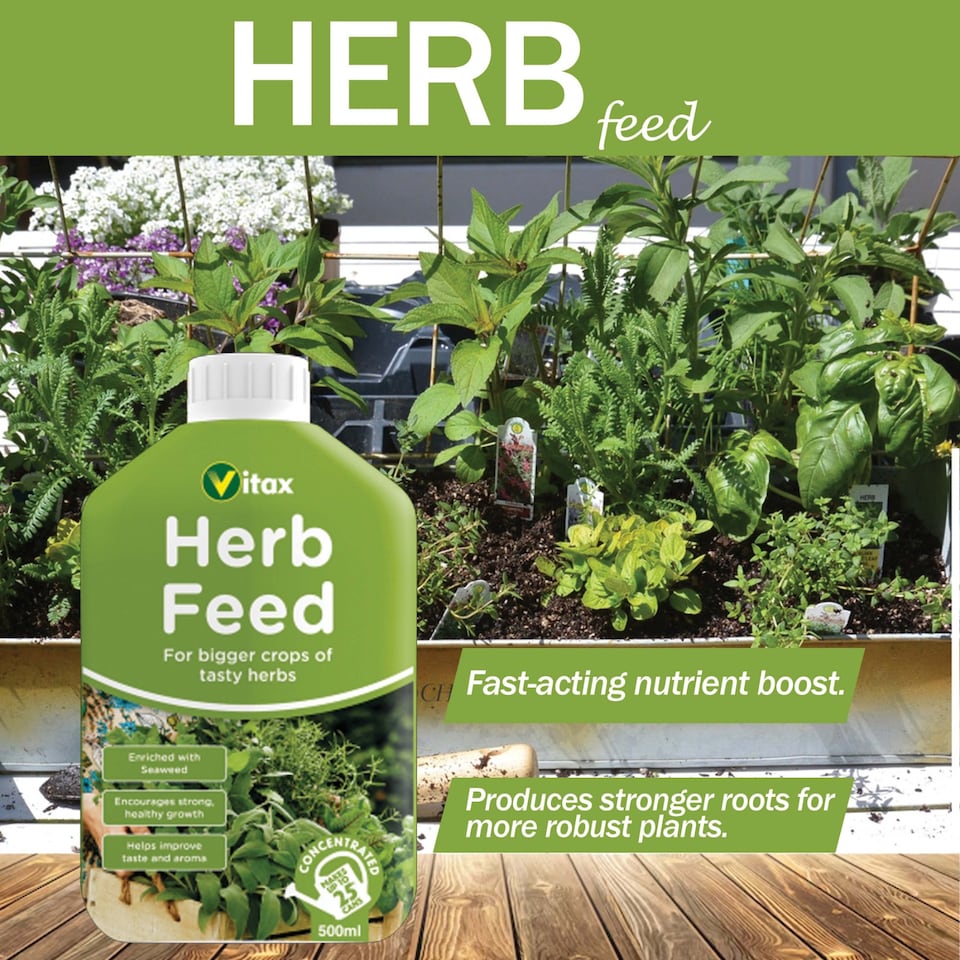 image 1 of Vitax Liquid Herb Feed 500ml Fast-Acting Seaweed Enriched Nutrient Formula for Bigger Healthier Flavourful Herbs