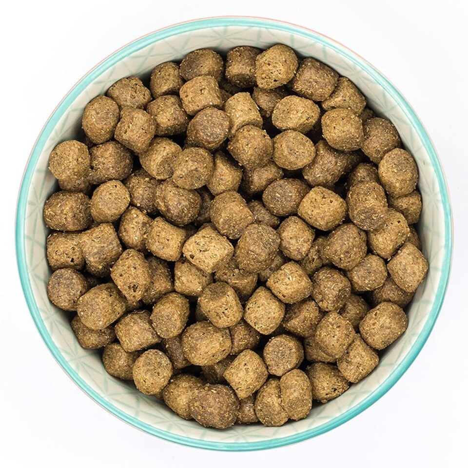 image 1 of Burns Original Puppy Dry Dog Food Chicken & Rice 6kg